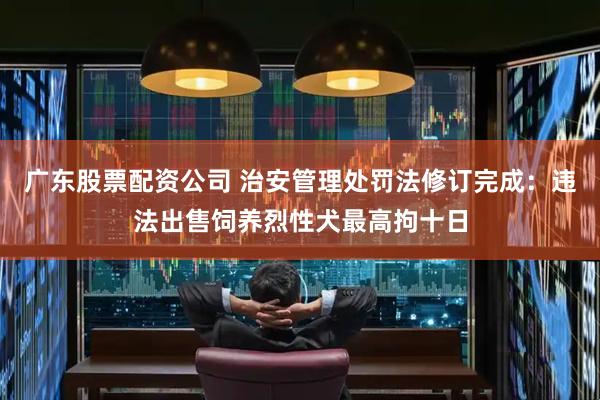 广东股票配资公司 治安管理处罚法修订完成：违法出售饲养烈性犬最高拘十日