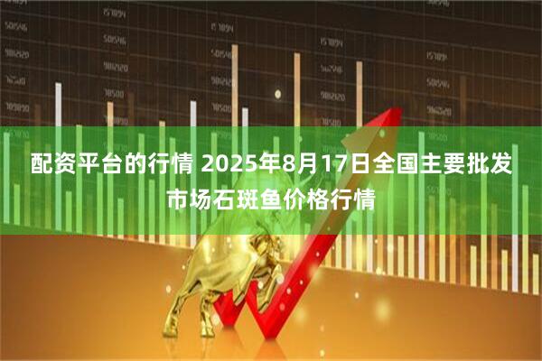 配资平台的行情 2025年8月17日全国主要批发市场石斑鱼价格行情